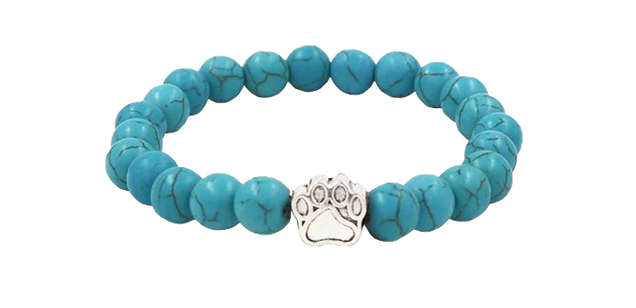 Armband zur Eisbärenortung
