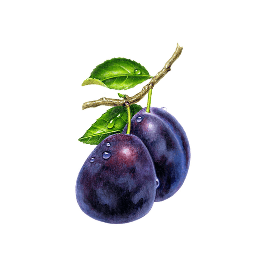 Fruit
