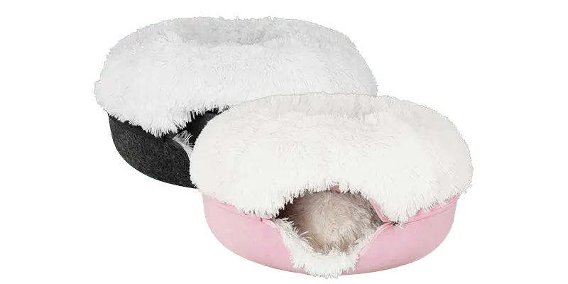Cattasaurus calming donut bogo