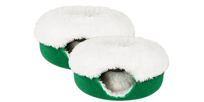 Cattasaurus calming donut bogo