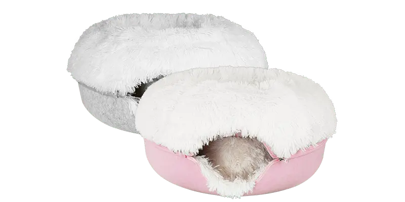 Cattasaurus calming donut bogo
