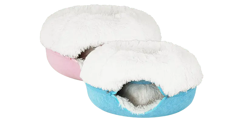 Cattasaurus calming donut bogo