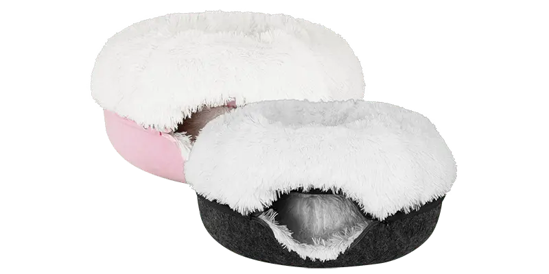 Cattasaurus calming donut bogo