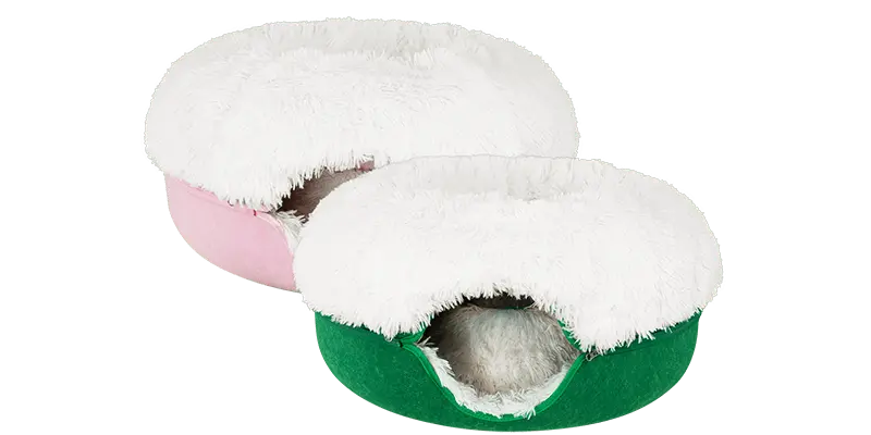 Cattasaurus calming donut bogo