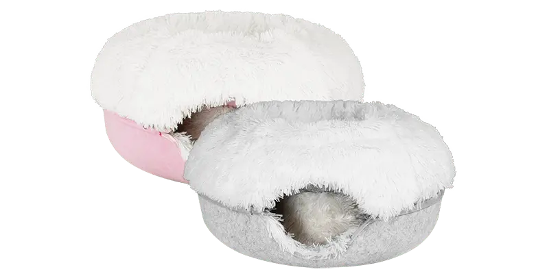 Cattasaurus calming donut bogo