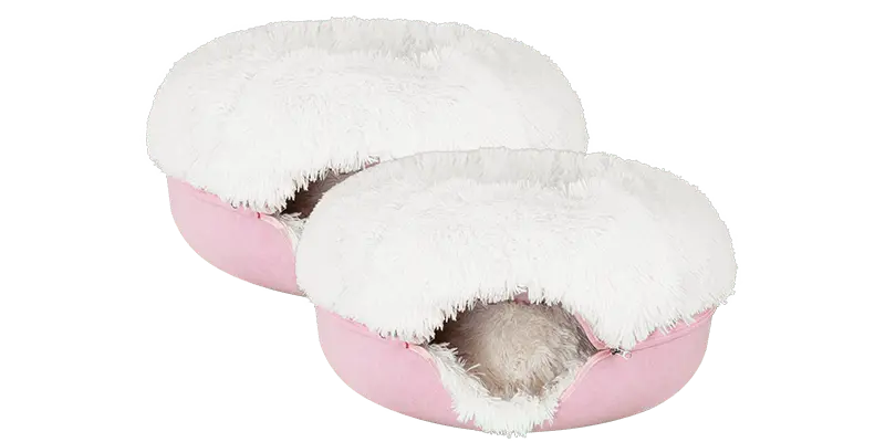 Cattasaurus calming donut bogo