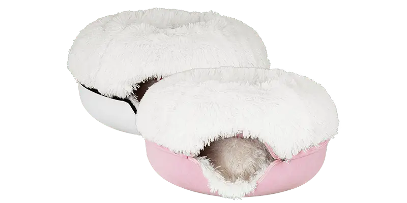 Cattasaurus calming donut bogo