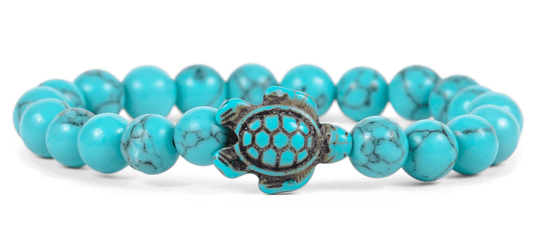 Turtle tracking bracelet